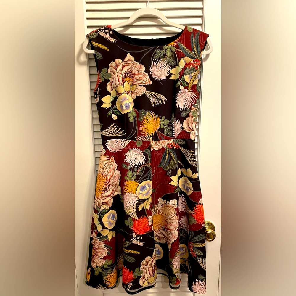 Sandro Ferrone Floral Dress, Size 42